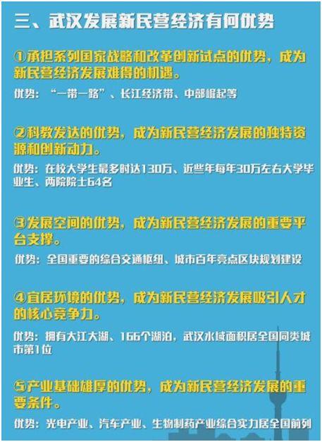 武汉民营经济总量_武汉经济开发区发改局