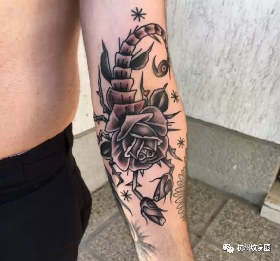 tattoo | 纹身素材: 天蝎座(scorpio)
