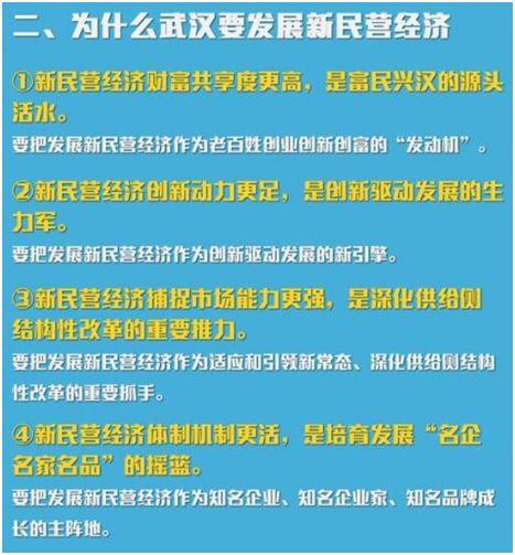 武汉民营经济总量_武汉经济开发区发改局