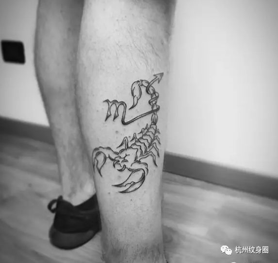 tattoo | 纹身素材: 天蝎座(scorpio)