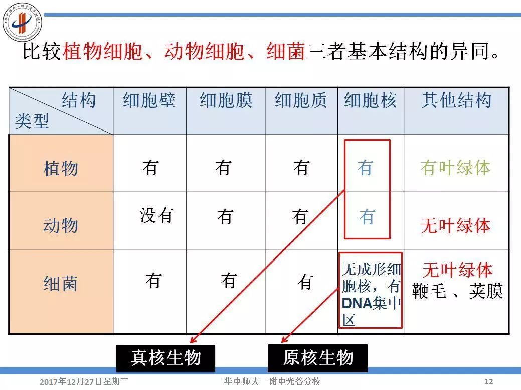 r人口英语_人口英语手抄报(3)