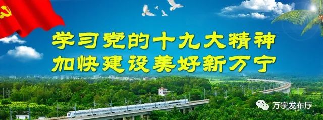 2020万宁和乐gdp_2016-2020年万宁市地区生产总值、产业结构及人均GDP统计(2)