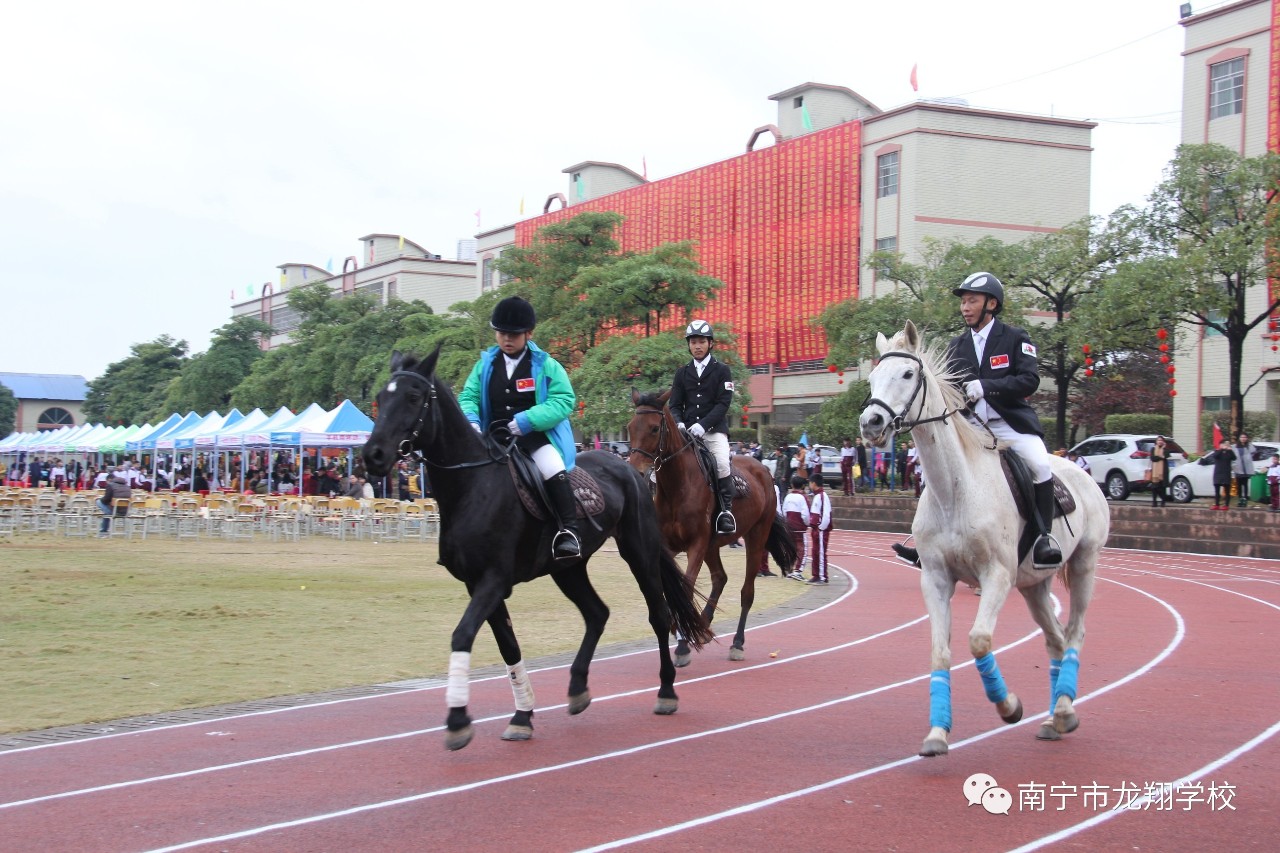 "教书育人,任重道远"-记南宁市龙翔学校建校十五周年校庆庆典活动