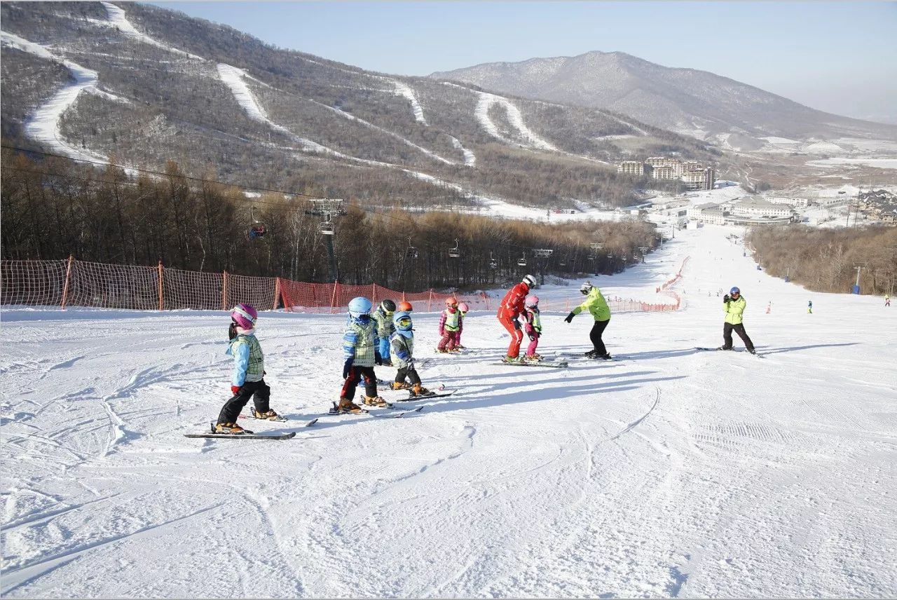 旅游 正文 在吉林,一定要体验一下在林海雪原中驰骋的乐趣!