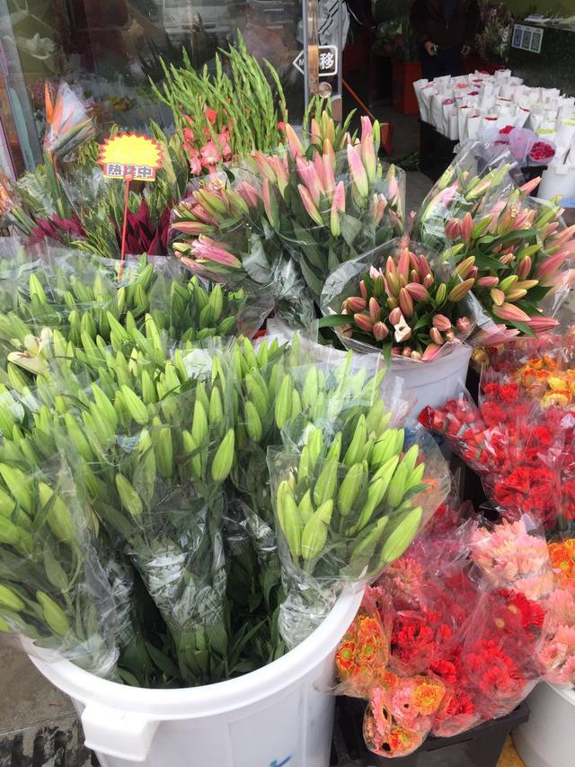 探访深圳龙岗百合花卉小镇 最新花卉市场