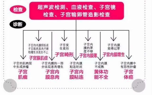 胚胎移植原理是什么_胚胎是什么样子的图片(2)