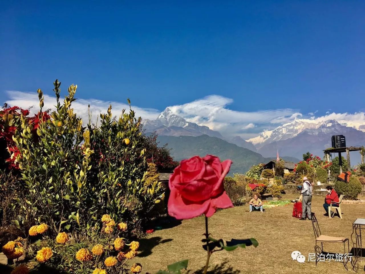 如果你来尼泊尔,千万不要错过雪山小村