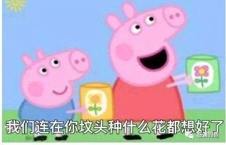 笑掉裤子:2017年最火表情包,最搞笑图片,最没品新闻