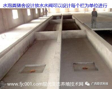 当前新建扩建猪场采用哪种模式好能成本低省工环保达标新型水泡粪猪舍