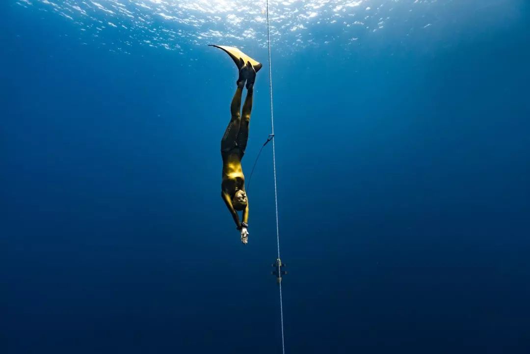 给你讲三个关于自由潜水"安全"的小故事