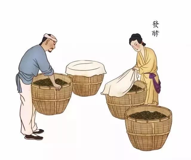 你一定听过"红茶暖胃",但知道它的缘由吗?