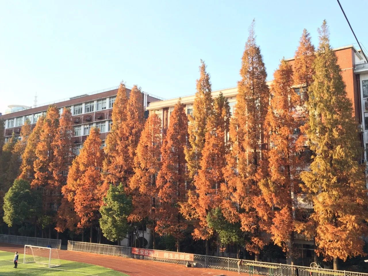 上海交通大学医学院风景