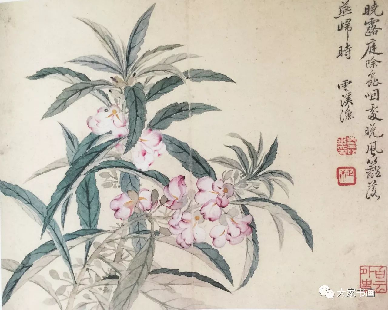 蚕豆花海 棠菊 花卷 丹竹石花图梅 花牡 丹花卉册