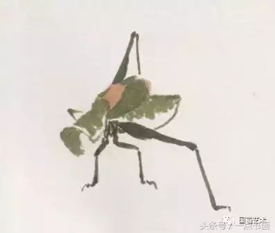 图文教程丨蝈蝈彩墨画法