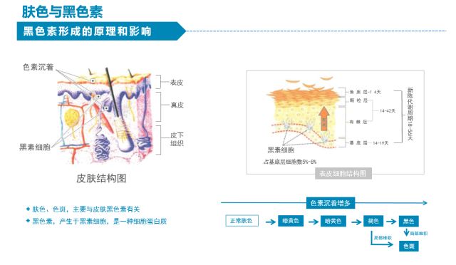 绿绿人口_科学家称本世纪全球气温至少升高两度 将超 临界点(2)