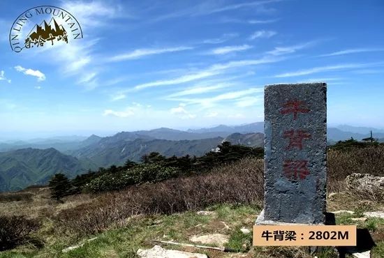 秦嶺十峰 | 藍天白雲雪域，挑戰一日最強線 娛樂 第4張