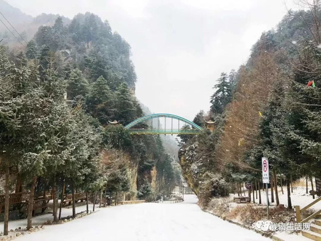 甘肃陇南八县一区最美雪景欣赏 | 暴雪来袭,安全出行!