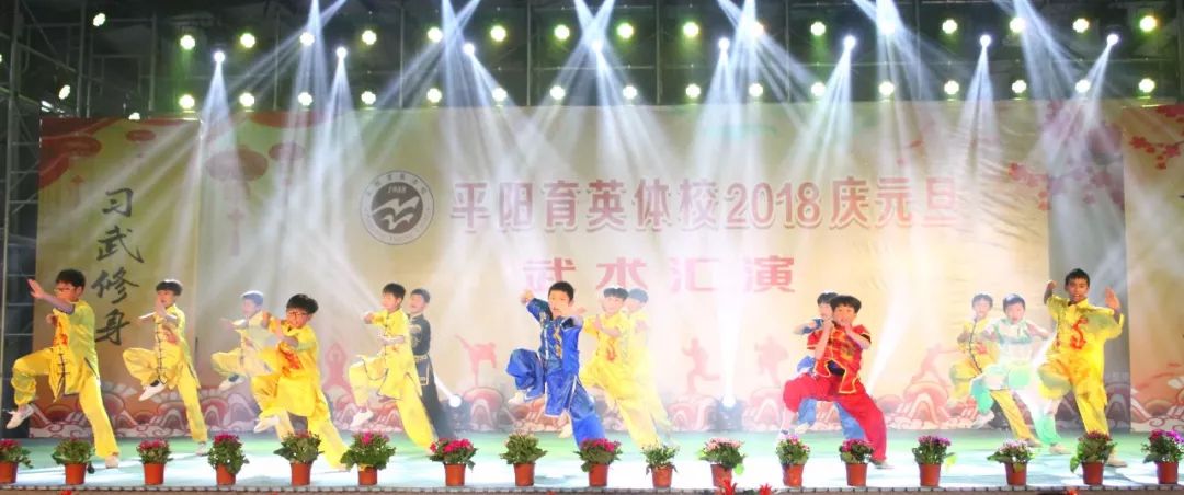 平阳育英体校隆重举行2018庆元旦武术汇演