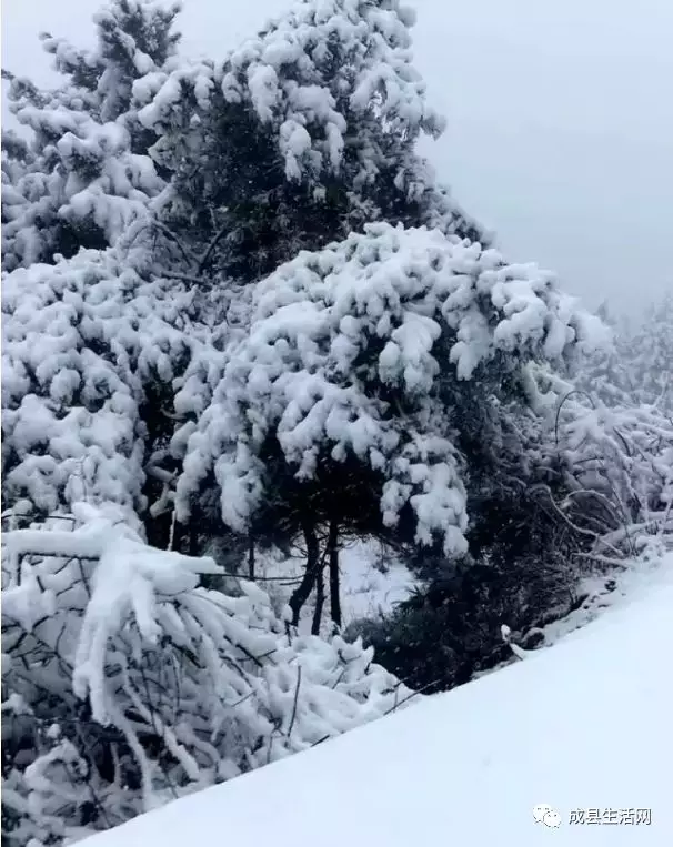 甘肃陇南八县一区最美雪景欣赏暴雪来袭安全出行