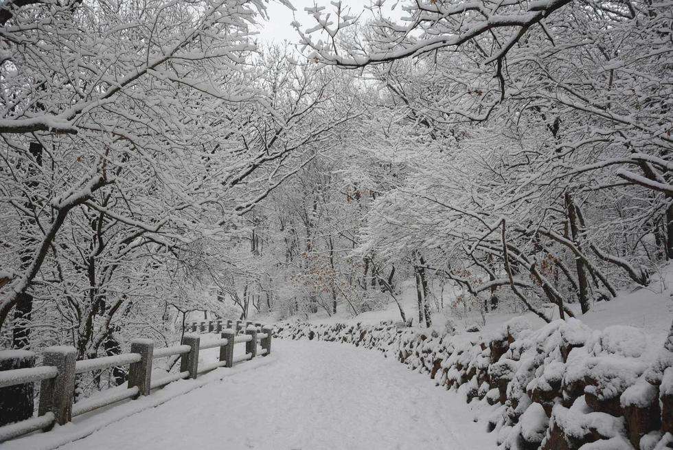 大雪什么成语_成语故事图片