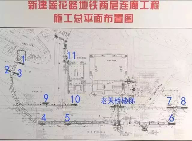 莲坛人口_人口老龄化