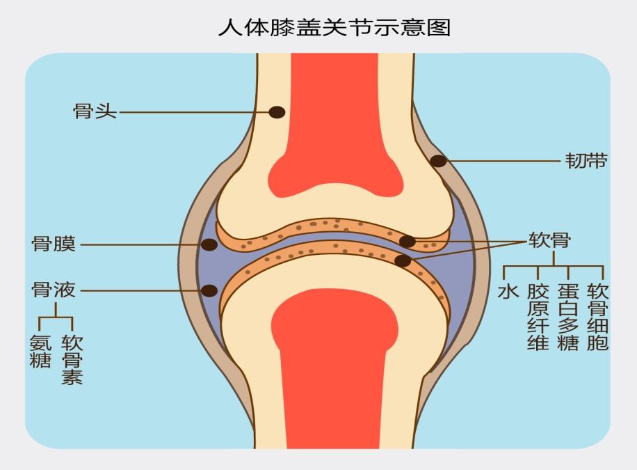 比如,年龄增长,即人体衰老是造成骨关节炎不可抗拒的因素,原因是人到