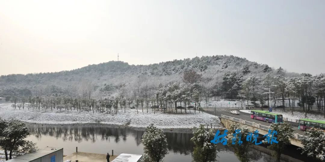 苏州虎丘苏高中雪景苏州北寺塔十里山塘苏州拙政园李公堤看完上面大家