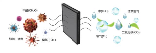 纳米银分解杀菌技术, 将空气中的细菌病毒分解,让细菌"尸骨无存".