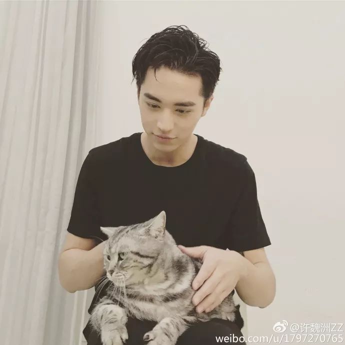 许魏洲爱猫的你让我疯狂上瘾