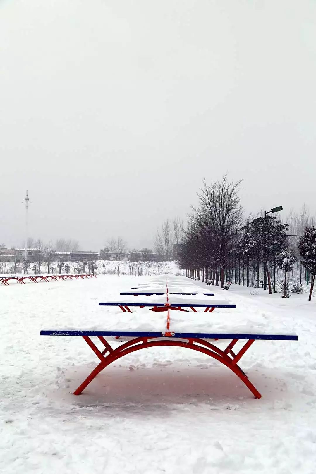 校园还记得母校的雪景吗刚刚新鲜出炉的全省大中小学校园雪景全在这快