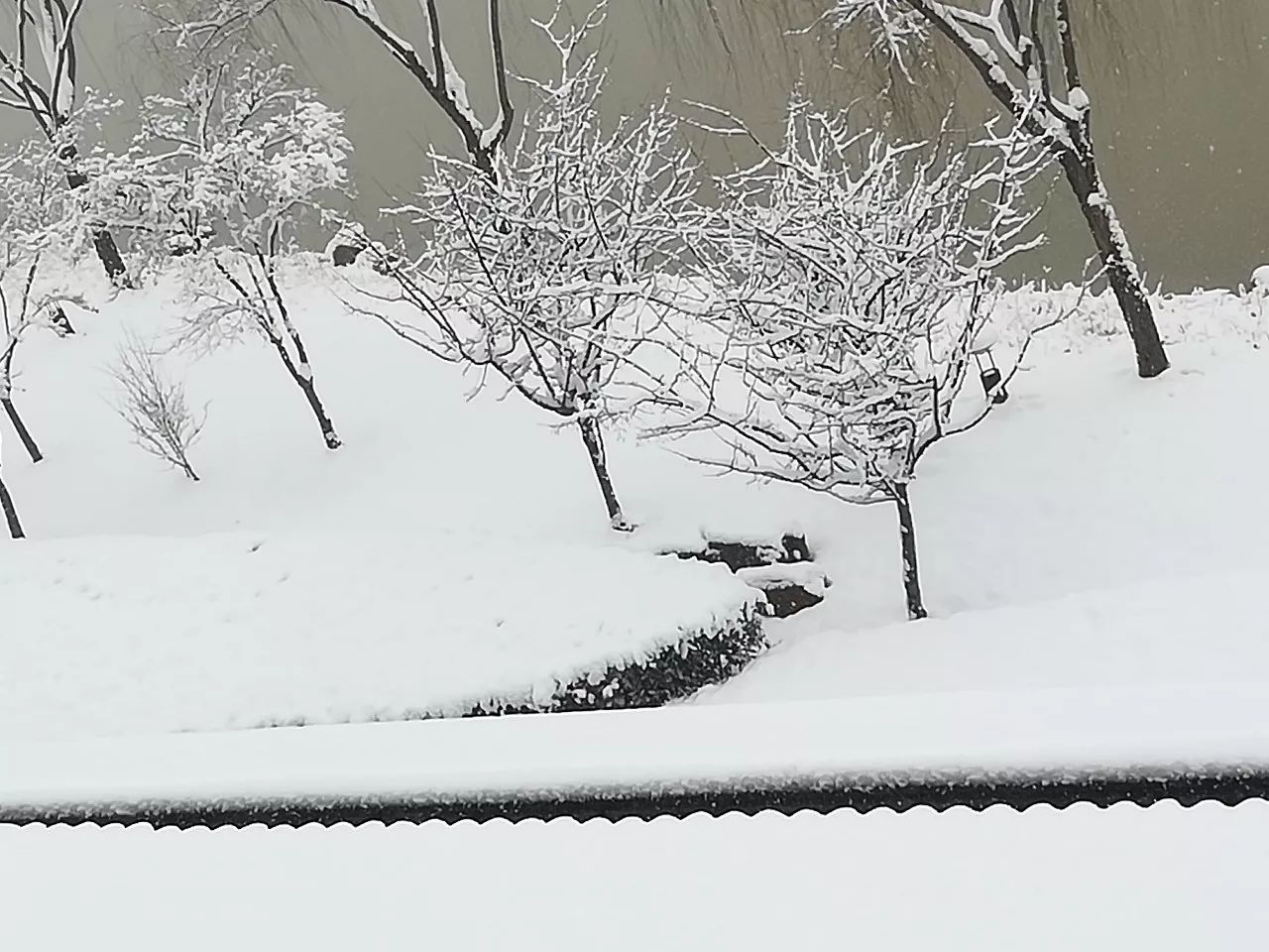 《南秦雪》唐·元稹 才见岭头云似盖,已惊岩下雪如尘.