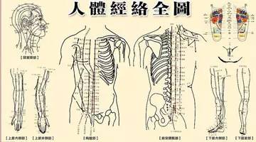 任脉位于正前胸,心脏脾胃行不通;上连乳腺下子宫,万一不通变老翁