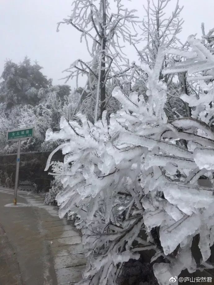 庐山出现超美雾凇雨凇景观,湖口人约吗?