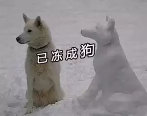 缺席了一冬天的雪,这次全部还给你