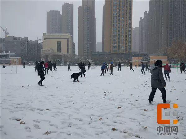 最美不过下雪天2018郑州第一场雪校园处处是美景美物美人儿