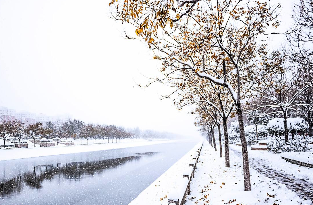 大雪刷爆朋友圈,这些句子让你有格调地晒雪