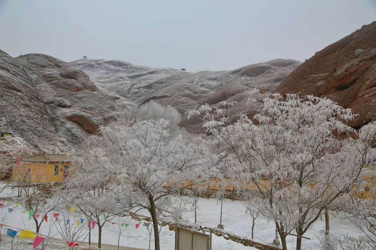 组图2018宁夏的第一场雪中卫寺口景区的雪景