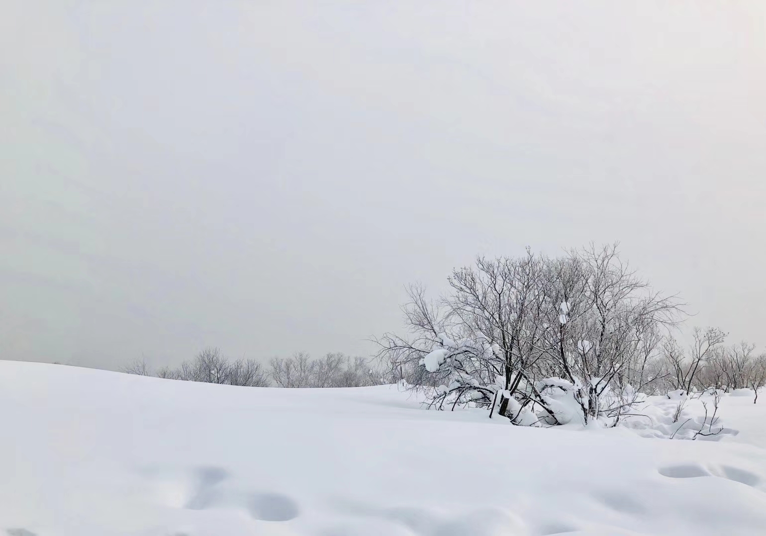 2018年下雪啦!这些雪国,雪景,美哭了!