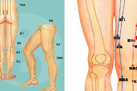 大腿穴位图大放送 按准位置瘦腿不是梦
