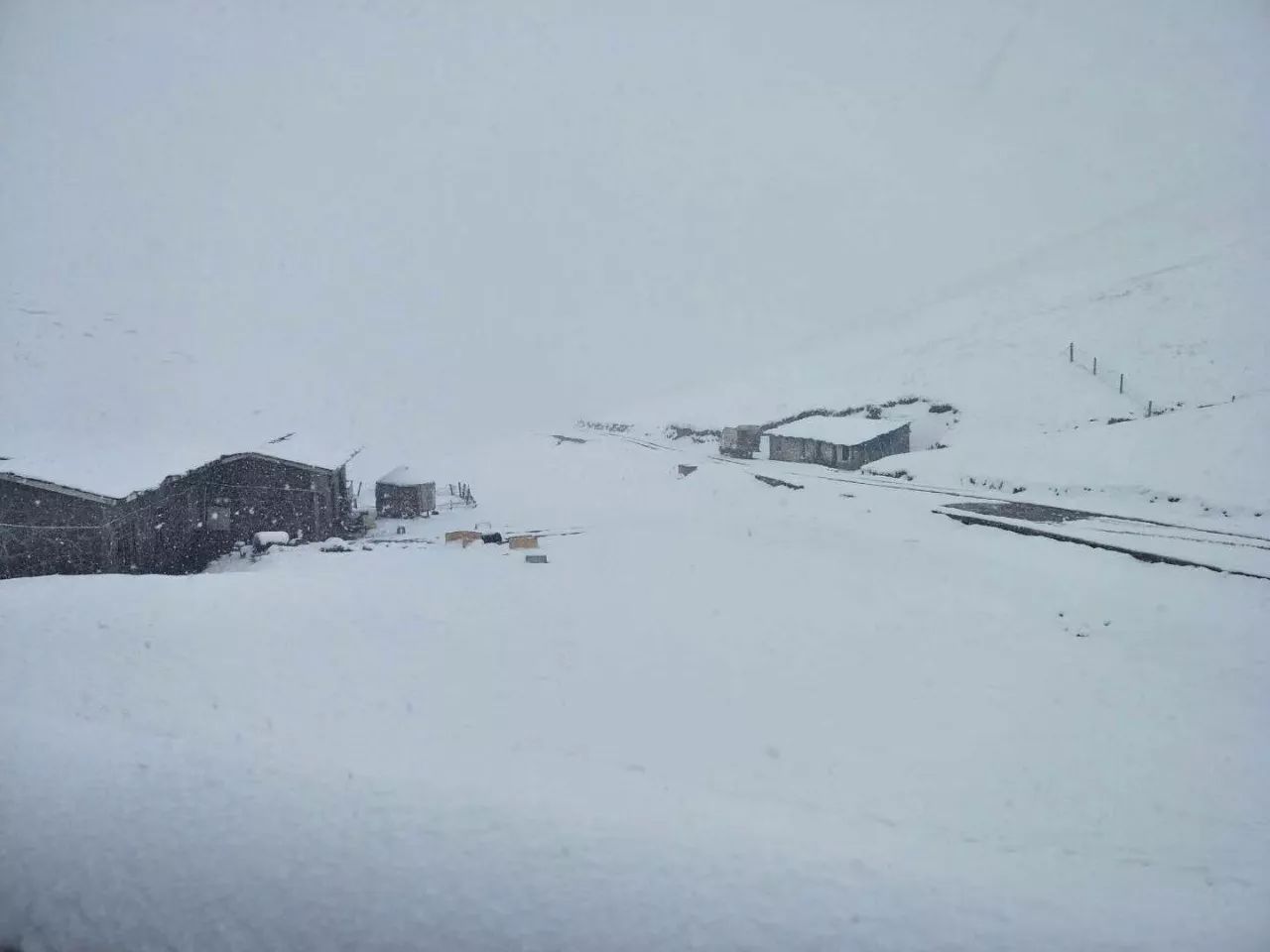 会泽大海草山迎来2018年第一场雪!美爆了!