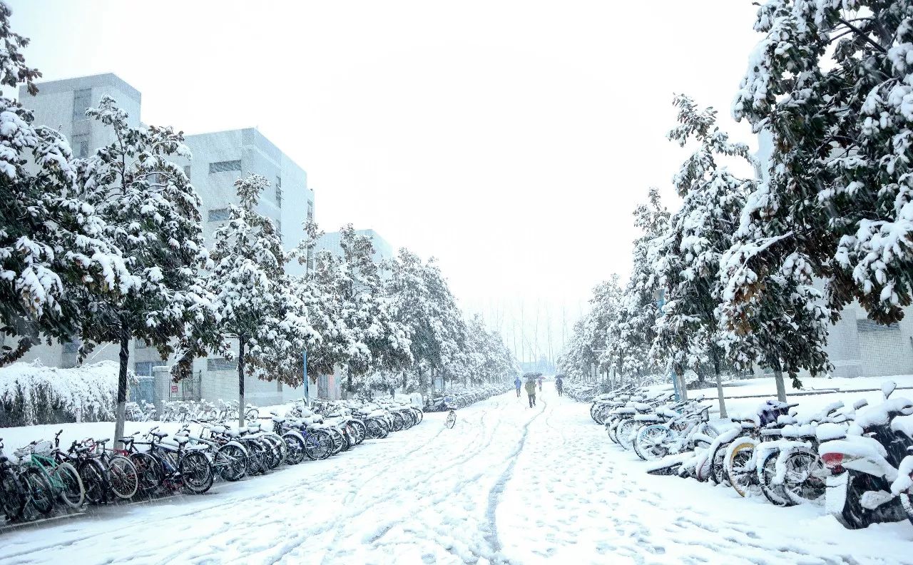 初雪| 如此甚好,初雪和你都到了