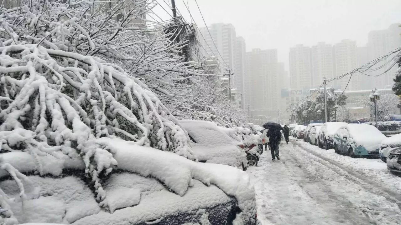 你在南方大雪纷飞,我在青岛等急了眼!网友:这雪到底还下不下?