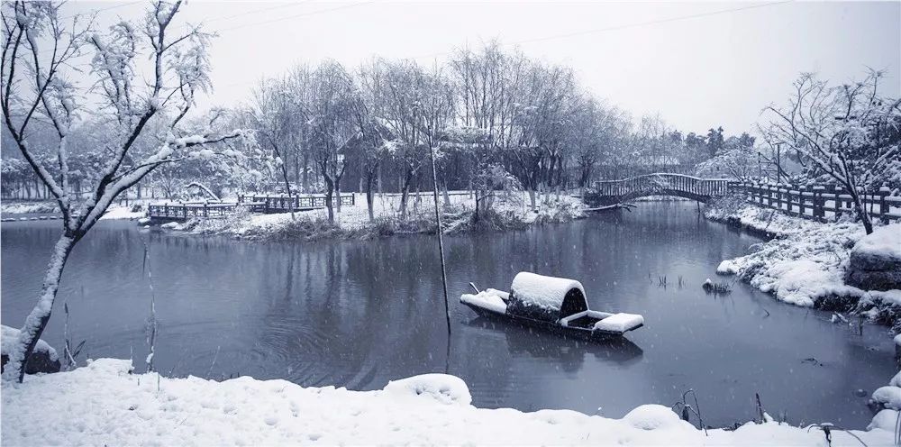 江都迎来-8℃ 暴雪!大雪过后,比雪景更美的竟是他们的