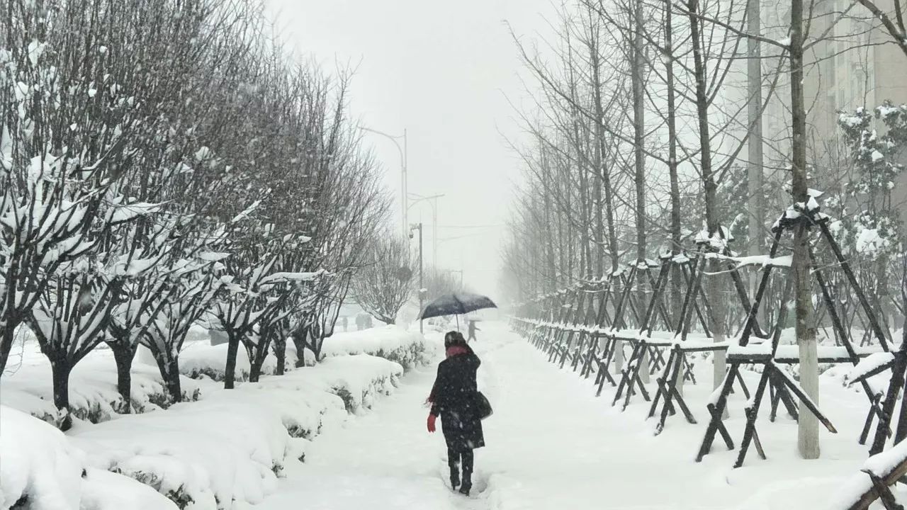 大明城的小伙伴们,约起来!我们踏雪去!