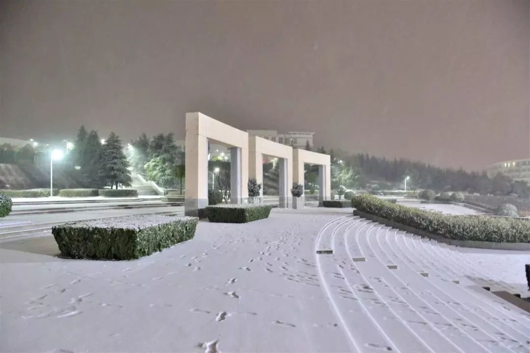 河南高校雪景大集合,哪一所是你的最爱?