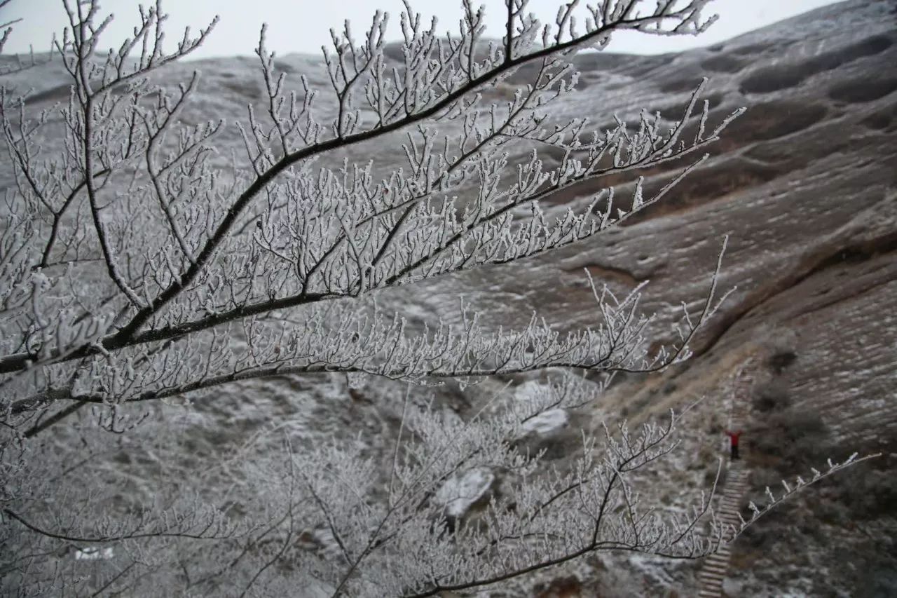 【组图】2018宁夏的第一场雪,中卫寺口景区的雪景!