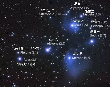 算说得过去,因为5颗最亮的星——昴宿六,七,一,四,五——的视星等从2