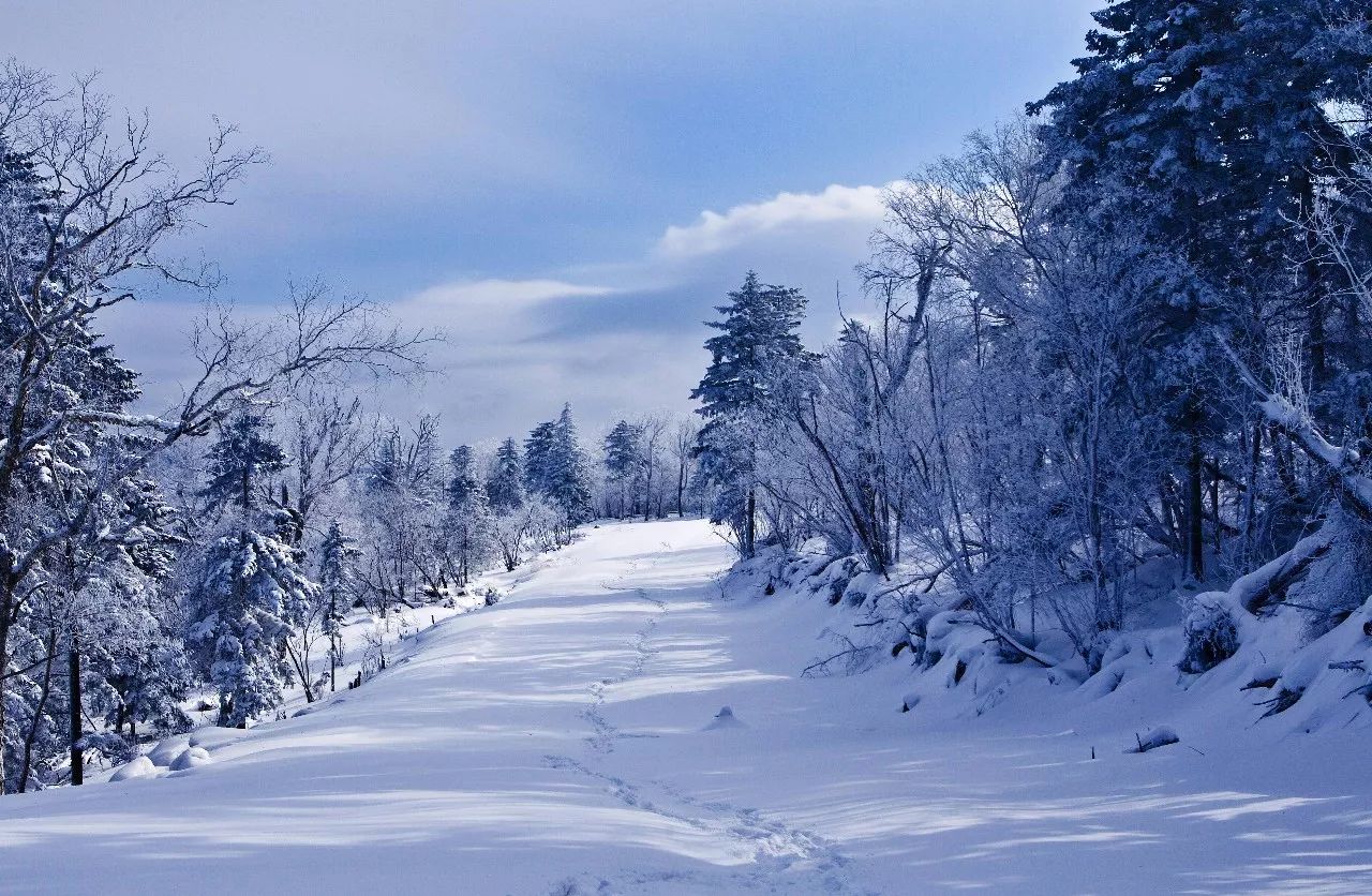 谈球吧体育穿过雾霭那一瞬的惊喜才是滑雪的终极目标！(图7)