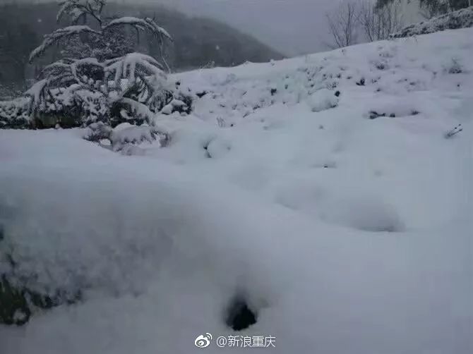 搞笑 正文 昨晚开始,重庆多地迎新年首场降雪,南川,奉节,万州,巫山