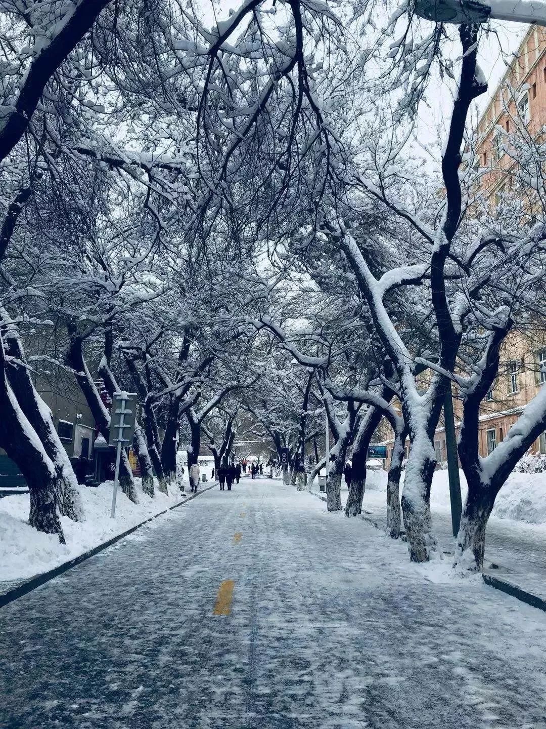 冯魁 羡慕大雪纷飞的乌鲁木齐~这才像冬天啊